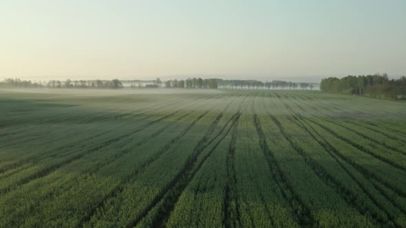 Flight Above Agricultural Field