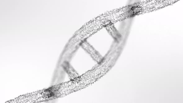 Black and white DNA rotates in space