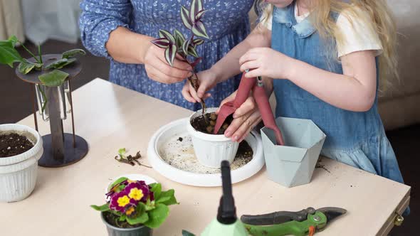 a Mother and Daughter Transplant Sprouted Houseplants to Pots