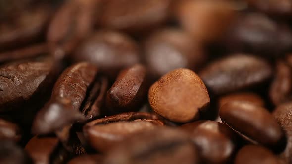 Light Roasted Coffee Beans, Delightful Aroma of Bittersweet Drink, Selected Sort