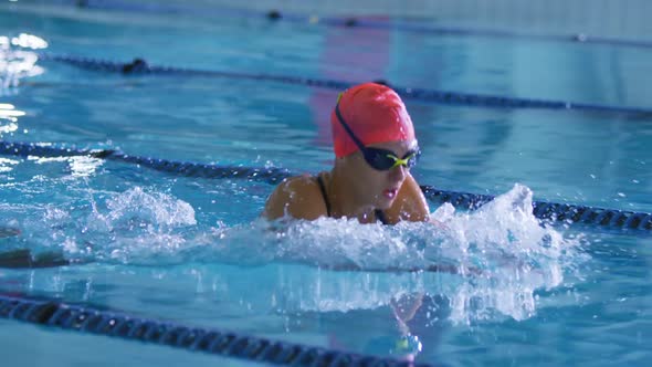 Swimmers training in a swimming pool