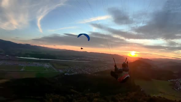 Paragliding Freedom