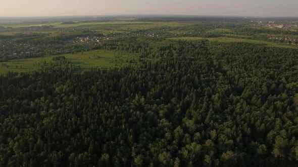 Aerial Flight Above the Huge Green Forest, Russia