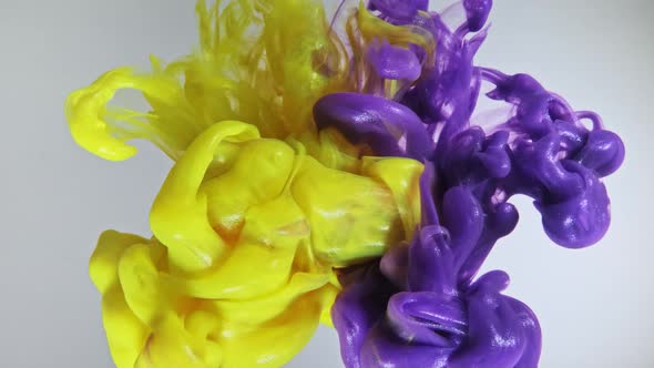 Colorful Nacreous Paint in Water Against White Background alt