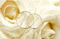 Macro photo of two wedding rings lying on bridal bouquet - PhotoDune Item for Sale
