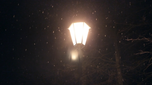 Snowy Night