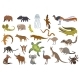 Animals of Australia - GraphicRiver Item for Sale
