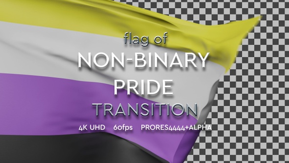 Flag of Non-Binary Pride transition | UHD | 60fps