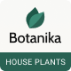 Botanika - House Plants and Gardening Shopify Theme - ThemeForest Item for Sale