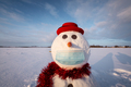 Funny snowman in stylish red hat with medical mask - PhotoDune Item for Sale