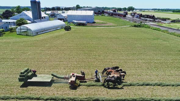 Aerial View of an Amish Farmers with Five Horses Harvesting His Crops and Loading Them on to a Cart