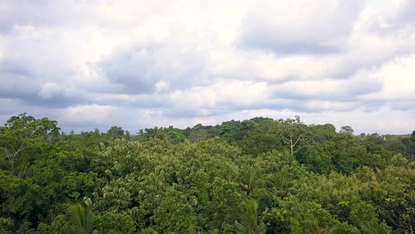 Natural Park on Bali Indonesia Island Aerial