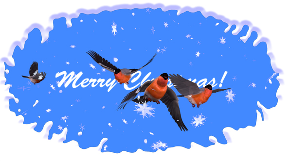Merry Christmas - Greeting Card - Bullfinches In Snowfall alt
