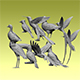 birds - 3DOcean Item for Sale