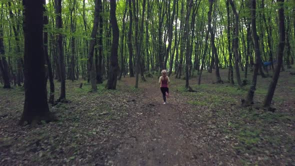 Pov Wandering and Walking Through Forest Path In Vast Pine green tree trunk , Forest pattern Summer