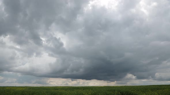 Rain Clouds in Rapeseed Field Timelapse