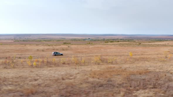 Gray Suv Tourist Vehicle Drives Slowly Along Empty Narrow Road Across Small Yellow Bushes Trees Dry