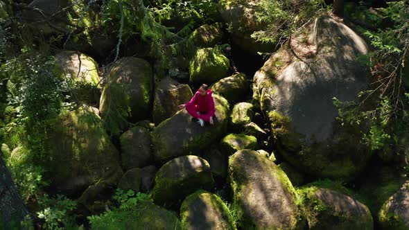 A Girl Practices Yoga in the Forest