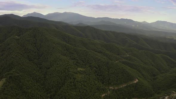 Green Forest and Mountain