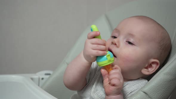 Infant Nibble Food on High Chair Nibbler for Kid Feeding