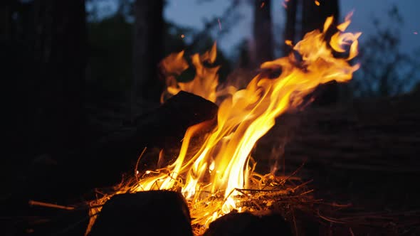 Bonfire Burns in Slow Motion on a Summer Evening Against a Dark Blue Sky