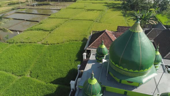 Mosque Among Rice Fields Java Indonesia