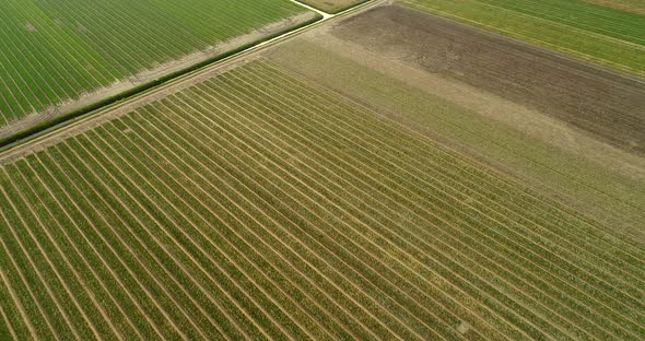 Aerial view of farming fields with canal in the countryside of Vinkeveen.