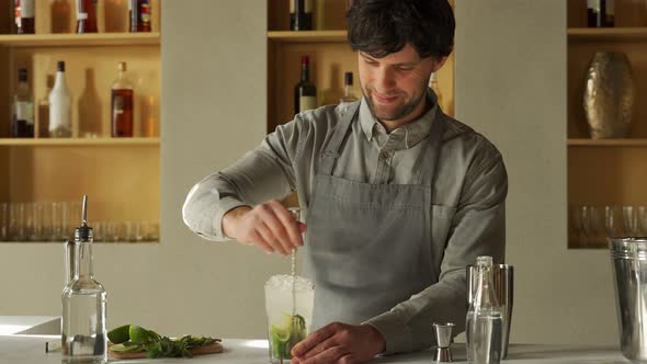 Bartender Mixes an Alcoholic Mojito Cocktail with a Spoon