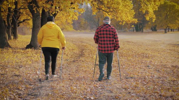 Seniors Couple Nordic Walking in Autumn Forest