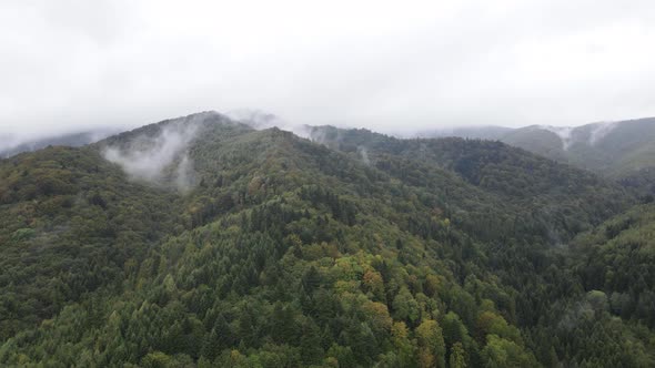 Nature of Ukraine: Carpathian Mountains Slow Motion. Aerial View