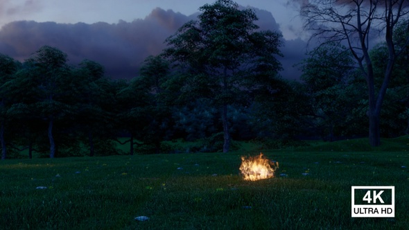 Bonfire On Field At Night
