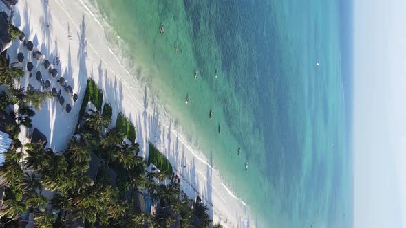 Vertical Video of the Beach on Zanzibar Island Tanzania Aerial View