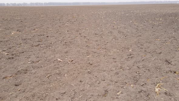 Land in a Plowed Field in Autumn