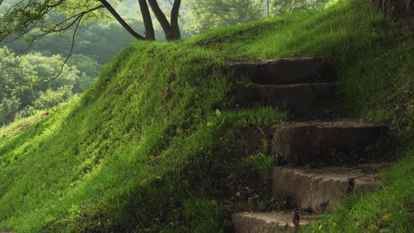 Steps of an old stone staircase in a forest on a hill with green grass 