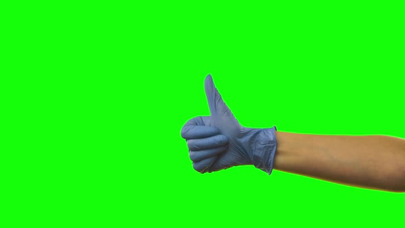 Doctors Female Hand in Blue Glove Is Holding Thumb Up Making Gestures Like. Green Screen