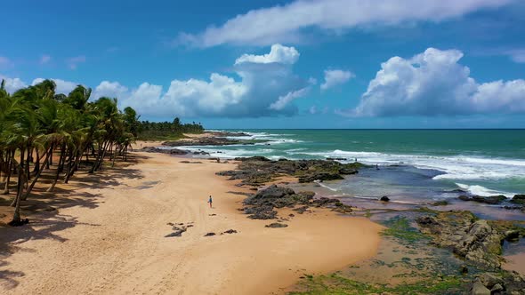 Tropical travel destinations at brazilian northeast. Salvador Bahia Brazil.