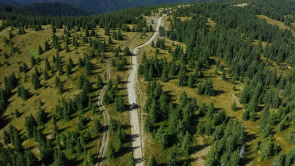 Drone Mountain Path View Through Sequoia Trees Growing Summer Day Hills Panorama