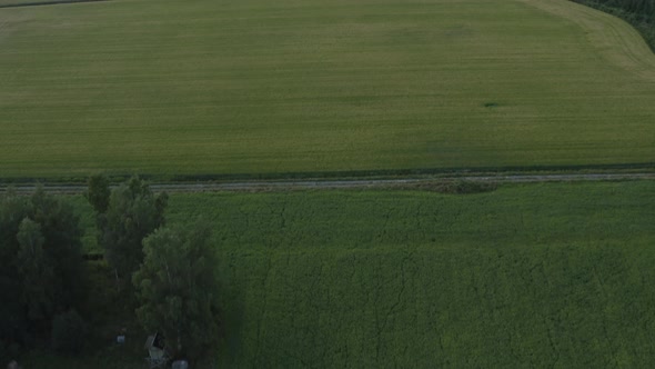 Green meadows and fields surrounded by forest. Scandinavian nature.