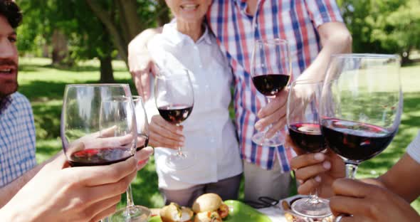 Family toasting glasses of red wine in the park