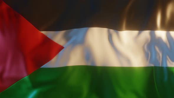 Palestine Flag with Edge Bump