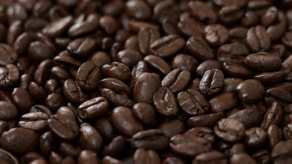 Coffee bean close up