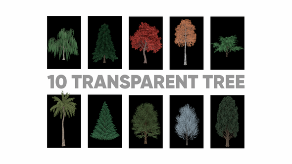 10 Transparent Tree Opening Animation