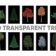 10 Transparent Tree Opening Animation - VideoHive Item for Sale