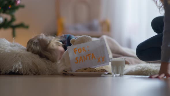 Caucasian Little Girl Preparing Cookies and Milk for Santa Kissing Sleeping Boy at Background