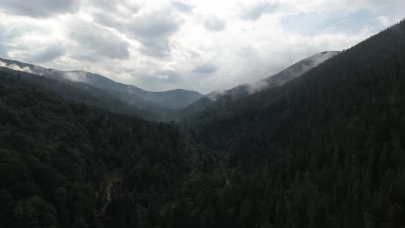 Sinking down into valley covered by pineforest and wilderness with hills in the distance and a cloud