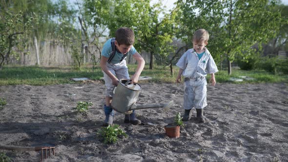 Child Farmer Concept, Little Boys in Hat and Boots Plant Seedlings in Pot and Water It From Watering