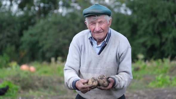 Happy Senior Farmer Showing His Organic Potatoes