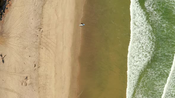 Aerial View of the Coastline Beach in San Diego in California By the Pacific