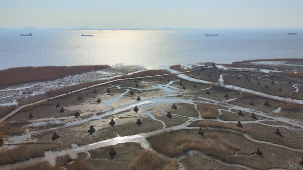 Wetlands by the sea in winter