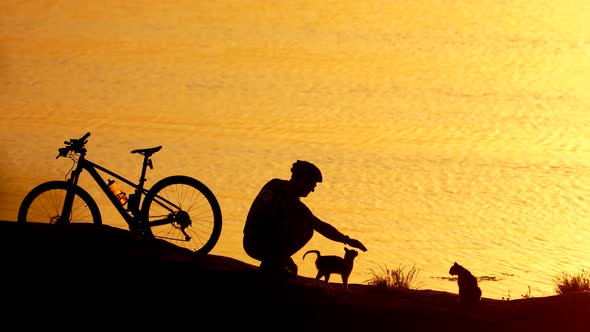 Man with animals on coast. Active man with bicycle playing with cat on coast